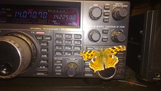 Butterfly on FT-2000